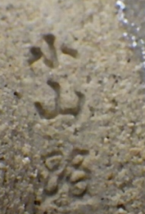 陶芸作家江口勝美 小山路窯の陶印画像です。