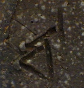 備前焼の陶芸作家山本宗秀 (備前焼)の陶印・裏印・窯印・サイン画像です。