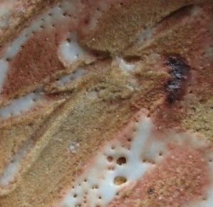 手書き・手彫りの陶芸作家塚本治彦 (志野)の陶印・裏印・窯印・サイン画像です。