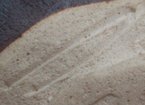 陶芸作家田中源彦の陶印・裏印・窯印・サイン画像です。