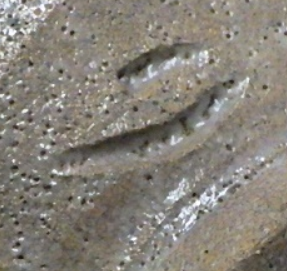 陶芸作家大宮臨水 松風山窯の陶印画像です。