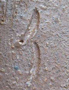 備前焼の陶芸作家伊勢崎満 (備前焼)の陶印・裏印・窯印・サイン画像です。