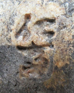 信楽焼の陶芸作家小河仁斎 (信楽焼)の陶印・裏印・窯印・サイン画像です。