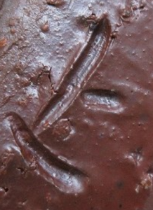 備前焼の陶芸作家松嶋弘 (備前焼)の陶印・裏印・窯印・サイン画像です。