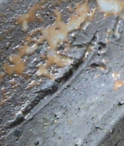 陶芸作家石田一平 土生田焼の陶印画像です。