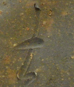 備前焼の陶芸作家山下譲治 (備前焼)の陶印・裏印・窯印・サイン画像です。