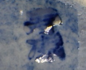 陶芸作家柳楽泰久 寿康窯の陶印画像です。