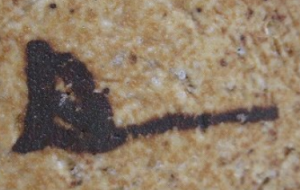 陶芸作家前田正剛の陶印画像です。