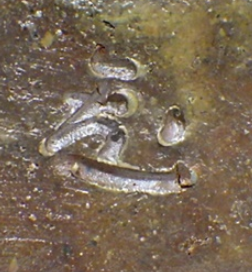 備前焼の陶芸作家藤田龍峰 (備前焼)の陶印・裏印・窯印・サイン画像です。