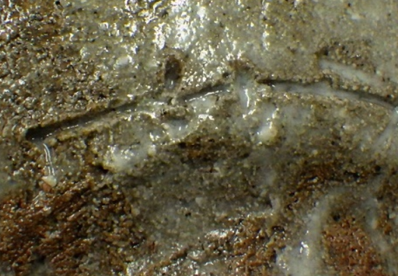 陶芸作家本間伸一 藤沢焼の陶印画像です。