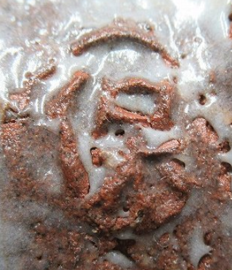 印刻（ハンコ・型押し）の陶芸作家大和保男 (萩焼)の陶印・裏印・窯印・サイン画像です。