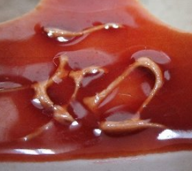 京焼の陶芸作家山本一如　(京焼)の陶印・裏印・窯印・サイン画像です。