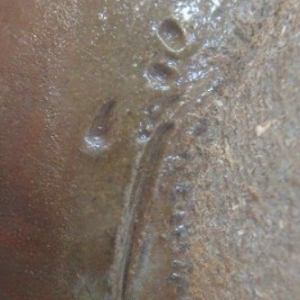 丹波焼の陶芸作家市野信水の陶印・裏印・窯印・サイン画像です。