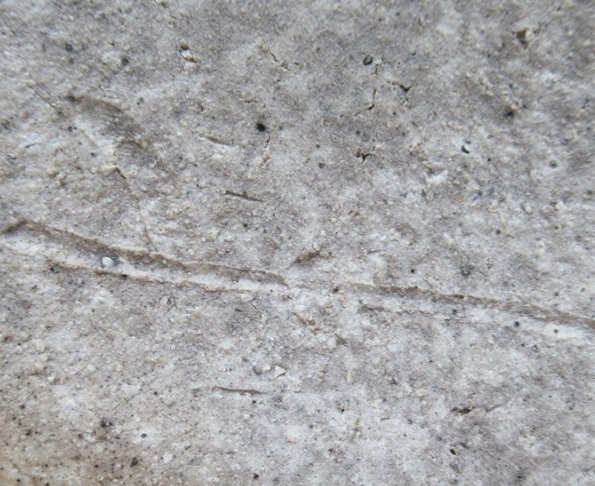 常滑焼の陶芸作家大迫みきお （常滑焼）の陶印・裏印・窯印・サイン画像です。