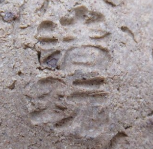 陶芸作家山根清玩 （萩焼）の陶印・裏印・窯印・サイン画像です。