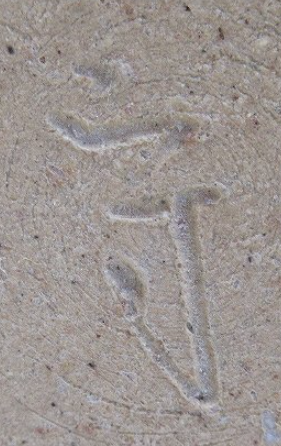 陶芸作家佐伯守美　さえきもりよしの陶印・裏印・窯印・サイン画像です。