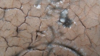 14d70d268c8e0b255fe3fb675e8edc11 4 1