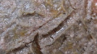 15b1aab903a8c8090bb237842e8270e6 12 1