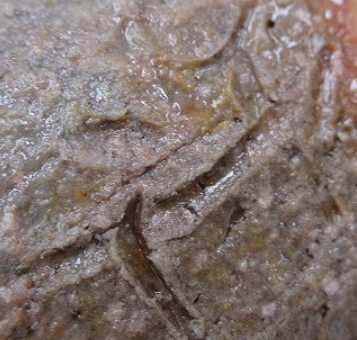 陶芸作家高崎和久　（伊賀焼）の陶印・裏印・窯印・サイン画像です。