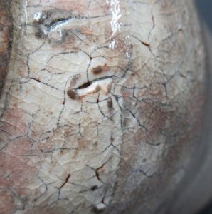 陶芸作家高橋佐門の陶印・裏印・窯印・サイン画像です。