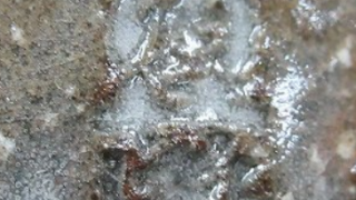 17fce67dcbe2a5fa7be34200957dd60e 4 1