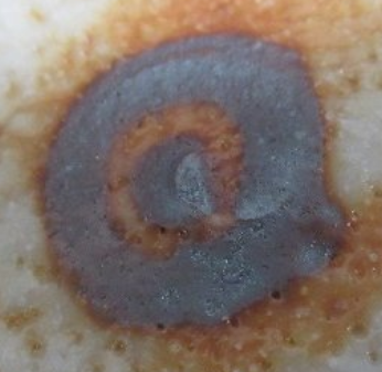 陶芸作家安藤日出武　あんどうひでたけの陶印・裏印・窯印・サイン画像です。