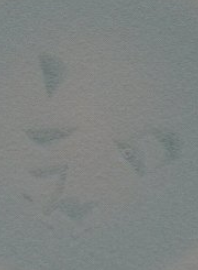 陶芸作家原田知代子　はらだちよこの陶印・裏印・窯印・サイン画像です。