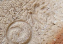 1aa2c3b665ad96b564323db70244ab66 16