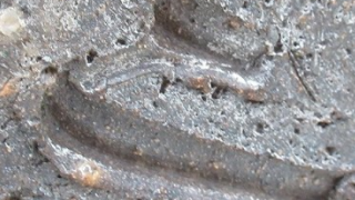 22a58266a4b30c3e1098f1ac5c12a75e 3 1