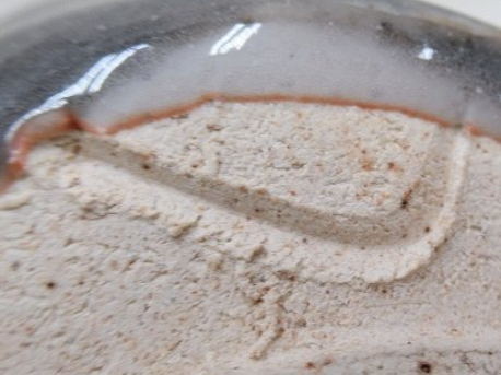 陶芸作家高木典利　たかぎのりとし （志野）の陶印・裏印・窯印・サイン画像です。