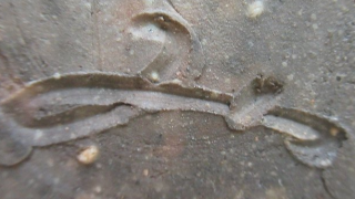 289284f679d5868d30b20e9886b01bd2 2 1