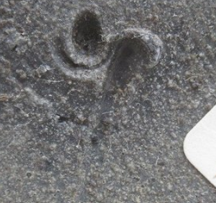 陶芸作家高原敏　たかはらとし　（備前焼）の陶印・裏印・窯印・サイン画像です。