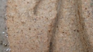 30ad17a3608f1d5f14caee7aa4e18b3f 3 1