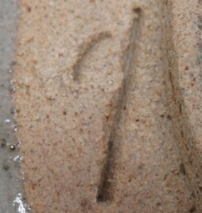 唐津焼の陶芸作家武村利左衛門　（唐津焼）の陶印・裏印・窯印・サイン画像です。