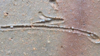 3419c973a5e1f2588b16e7b1a9e42c0b 4 1