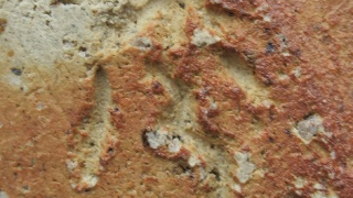 39b9d631832f0d02b13509887137361c 3