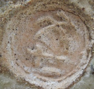 陶芸作家開発文七の陶印画像です。