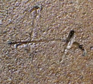 陶芸作家溝上秀次　みぞがみひでじ　今岳窯　(唐津)の陶印・裏印・窯印・サイン画像です。