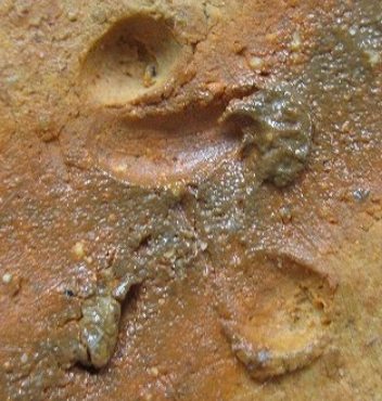 備前焼の陶芸作家隠崎隆一の陶印・裏印・窯印・サイン画像です。