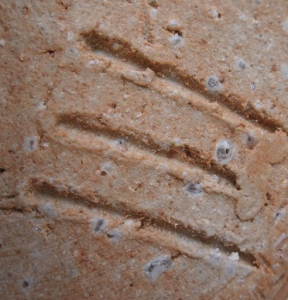 伊賀焼の陶芸作家谷本光生 （伊賀焼）の陶印・裏印・窯印・サイン画像です。