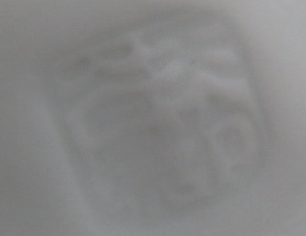 陶芸作家天狗谷窯　てんぐだにがまの陶印・裏印・窯印・サイン画像です。