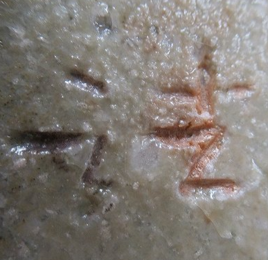 陶芸作家岡野法世　おかのほうせい （信楽焼）の陶印・裏印・窯印・サイン画像です。