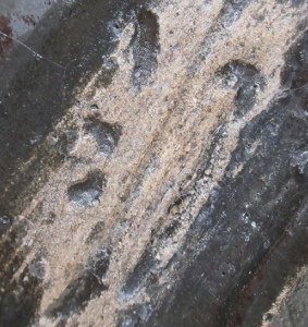 陶芸作家本阿弥光隆 本阿弥窯の陶印画像です。