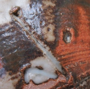 唐津焼の陶芸作家西川武則 唐久谷窯 （唐津焼）の陶印・裏印・窯印・サイン画像です。