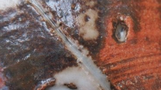 5087286f8d856d7921a5f5191451cb81 4