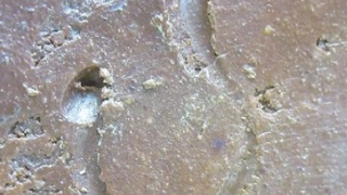 51e99f0e36058d48ad41e48425eef705 4