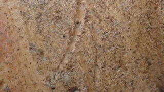 59fb28551f00b3a8252dbb5864b8e521 3 1