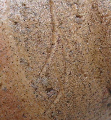 陶芸作家那波鳳翔　なばほうしょう　播州相生焼の陶印・裏印・窯印・サイン画像です。