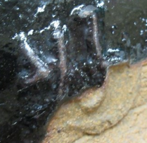 京焼の陶芸作家丹羽好一　(京焼)の陶印・裏印・窯印・サイン画像です。