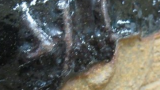 5b825fb566f287878135e6eeca4a35f0 5